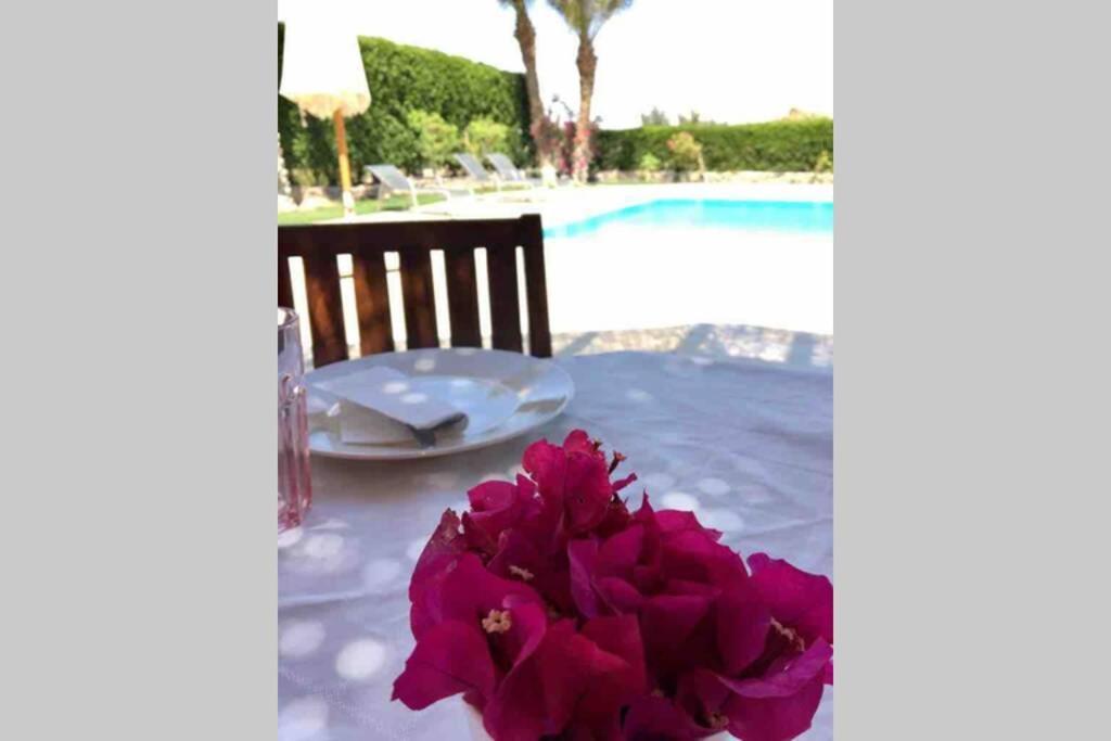 Vilă With 5 Bedrooms & 4 Bathrooms - Private Heated Pool Hurghada